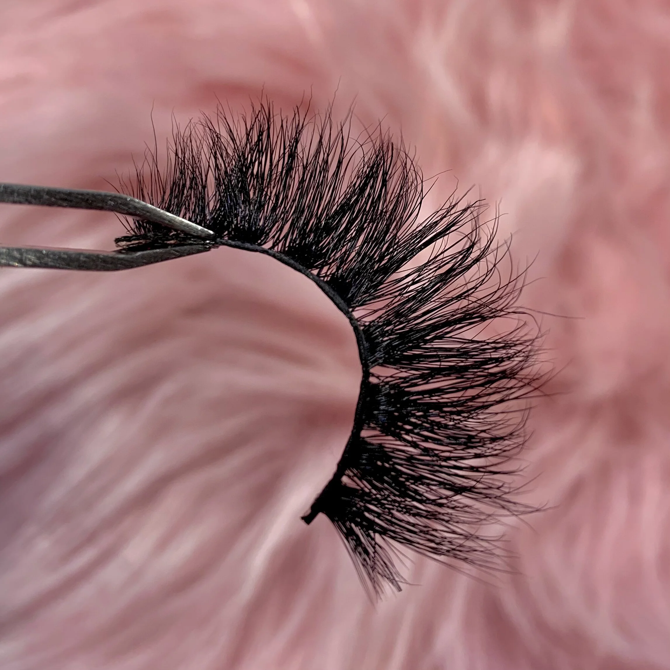 8D1374FC-3921-408B-B495-5308EEF490D7