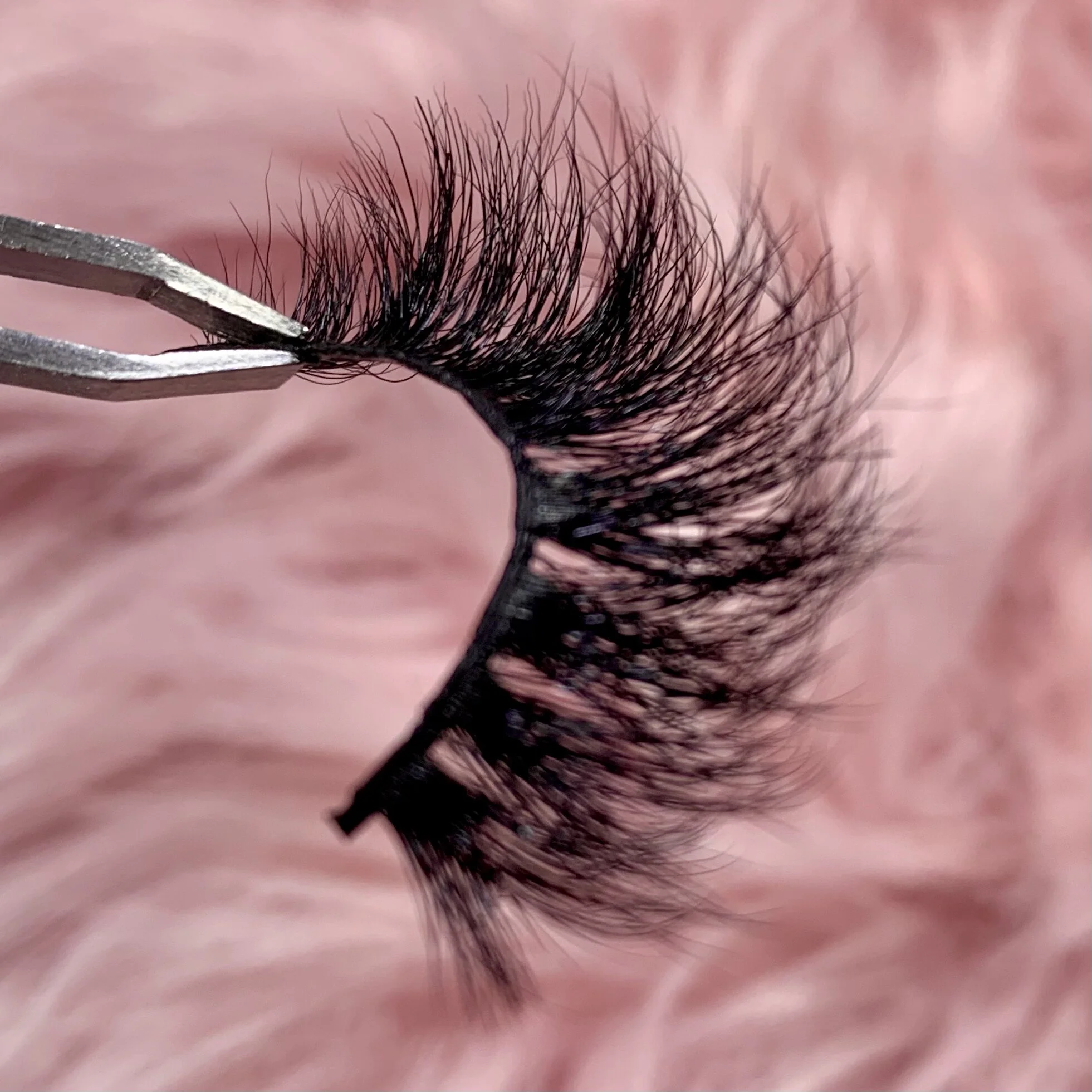 5D41782E-6E71-454F-9998-03AC232B1E68