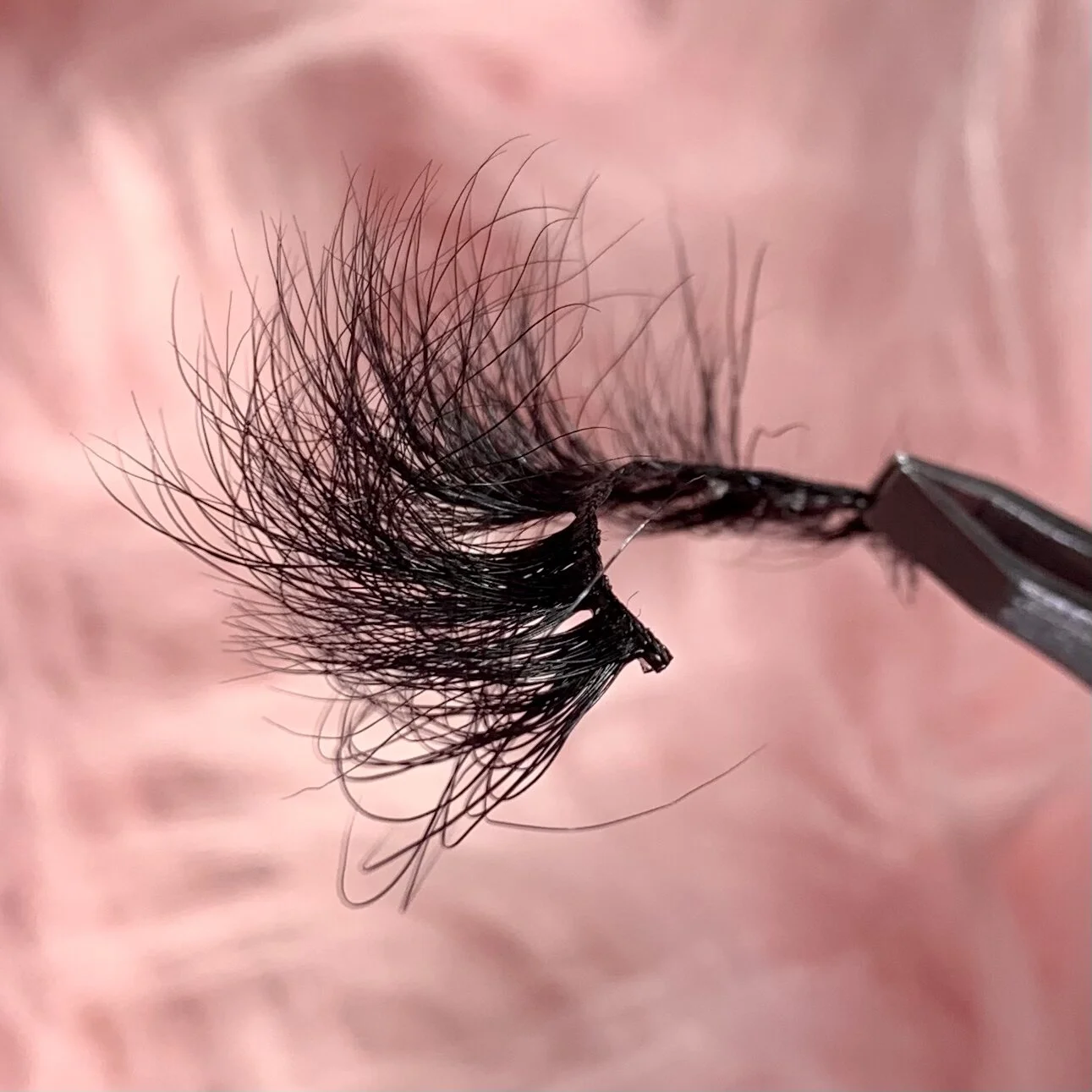 328086D4-8B11-4CC3-BA3F-B8BB1F92EAB8