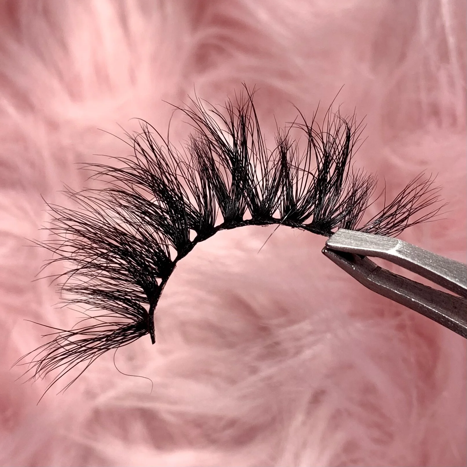 F0202C41-94BD-4F29-BE63-8A6E60F2B5DF