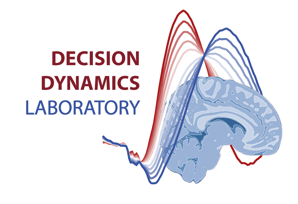 Laboratory of Decision Dynamics