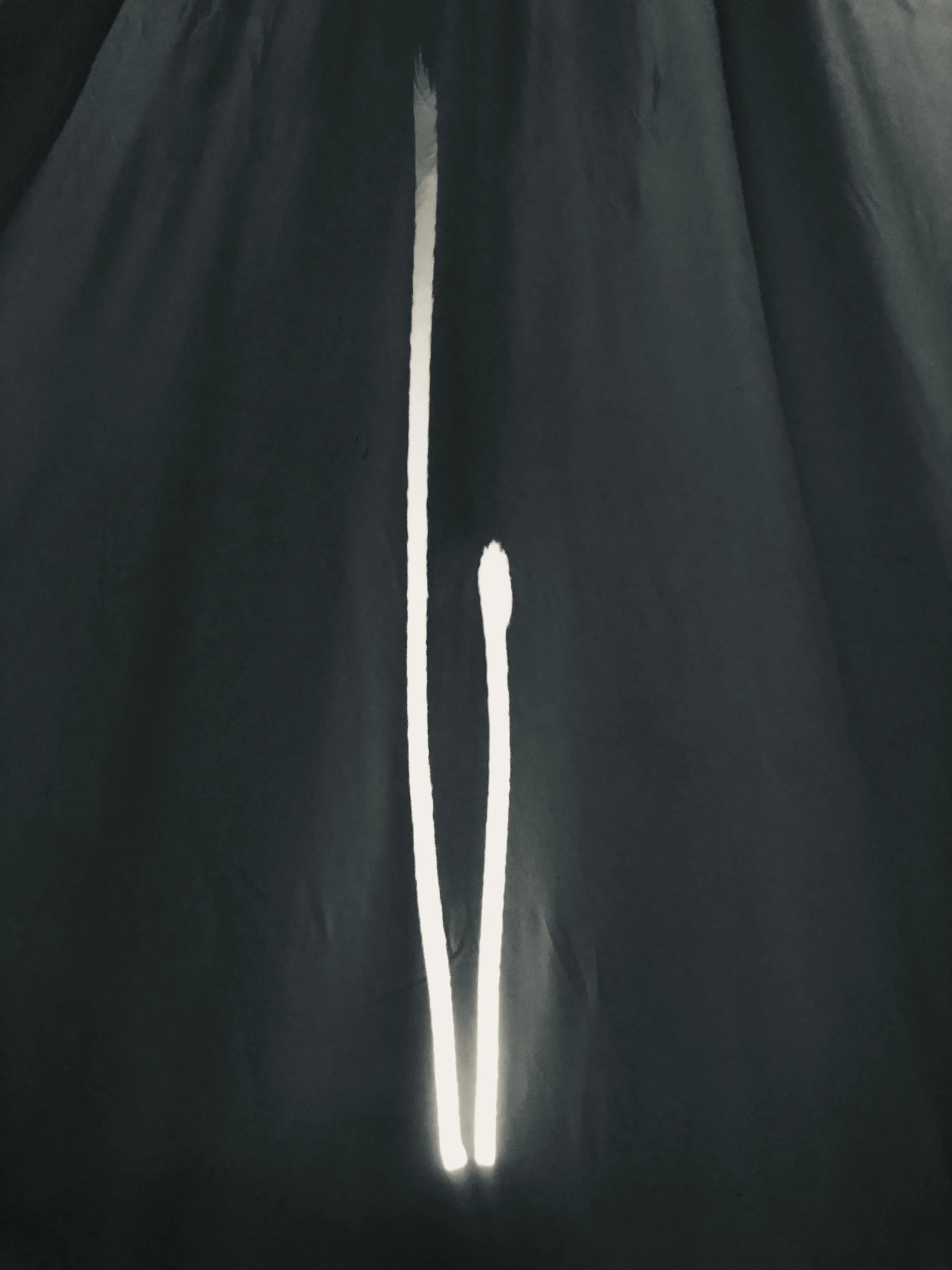 silence whispers alone