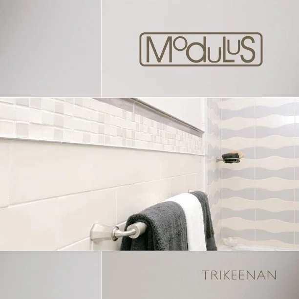 modulus_2007_cover.jpg