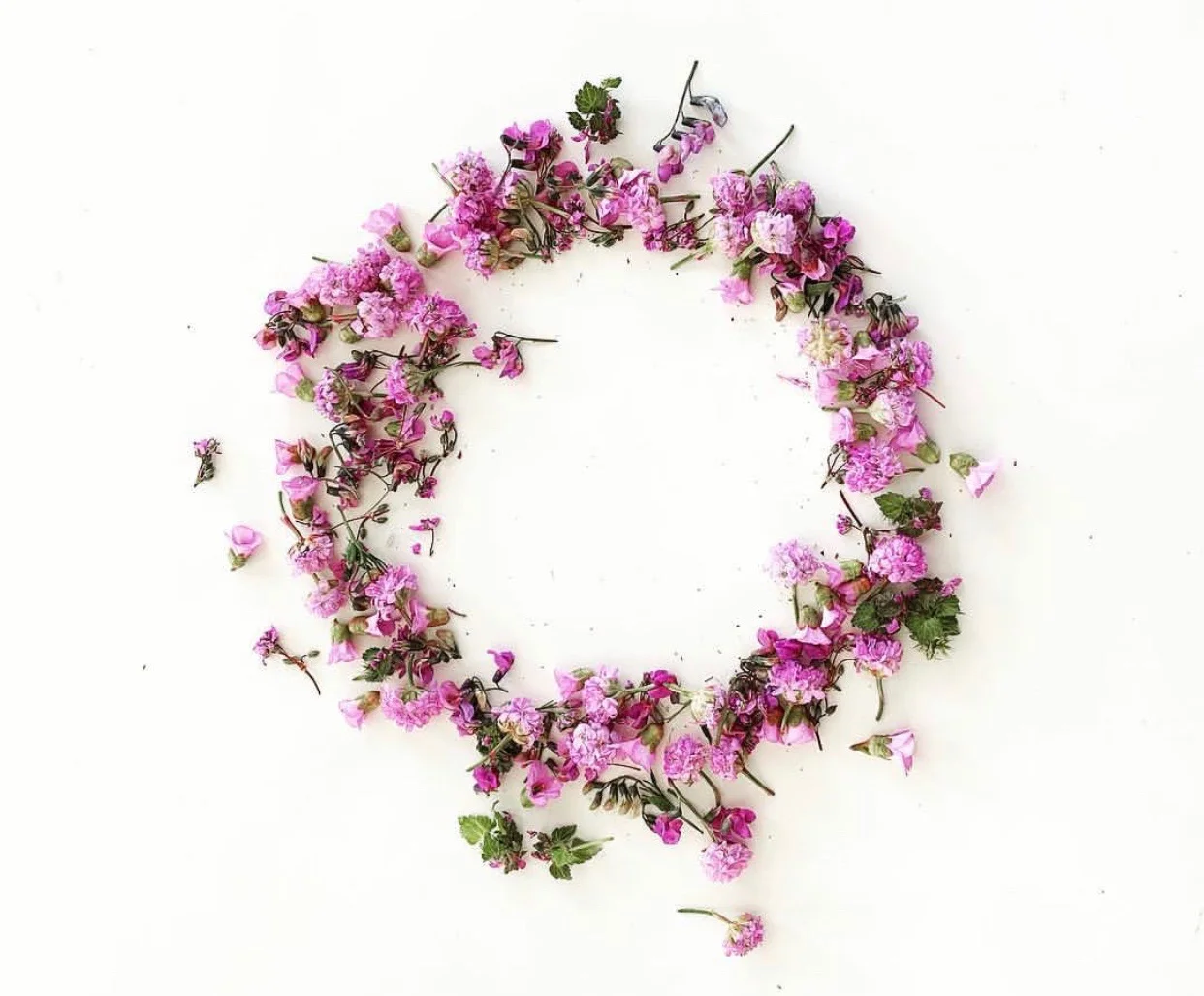 Wreath Making 101 Class