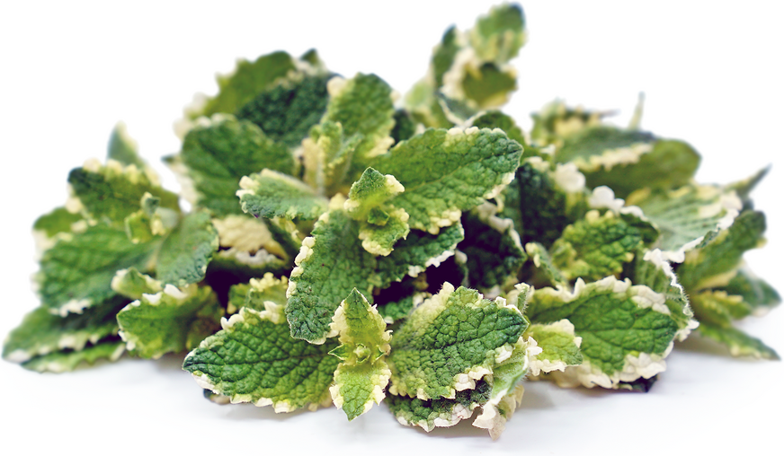 Mint - Pineapple