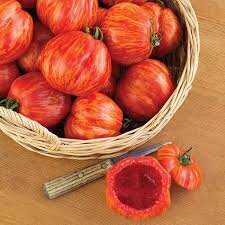 Tomato - Get Stuffed