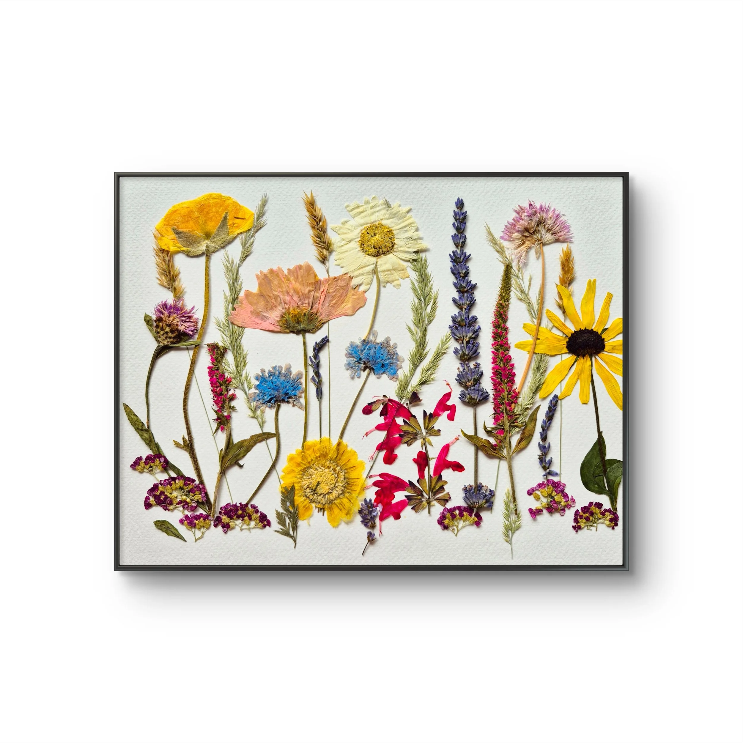Wild Meadow - Pressed Flower workshop with Sasha Sheppard