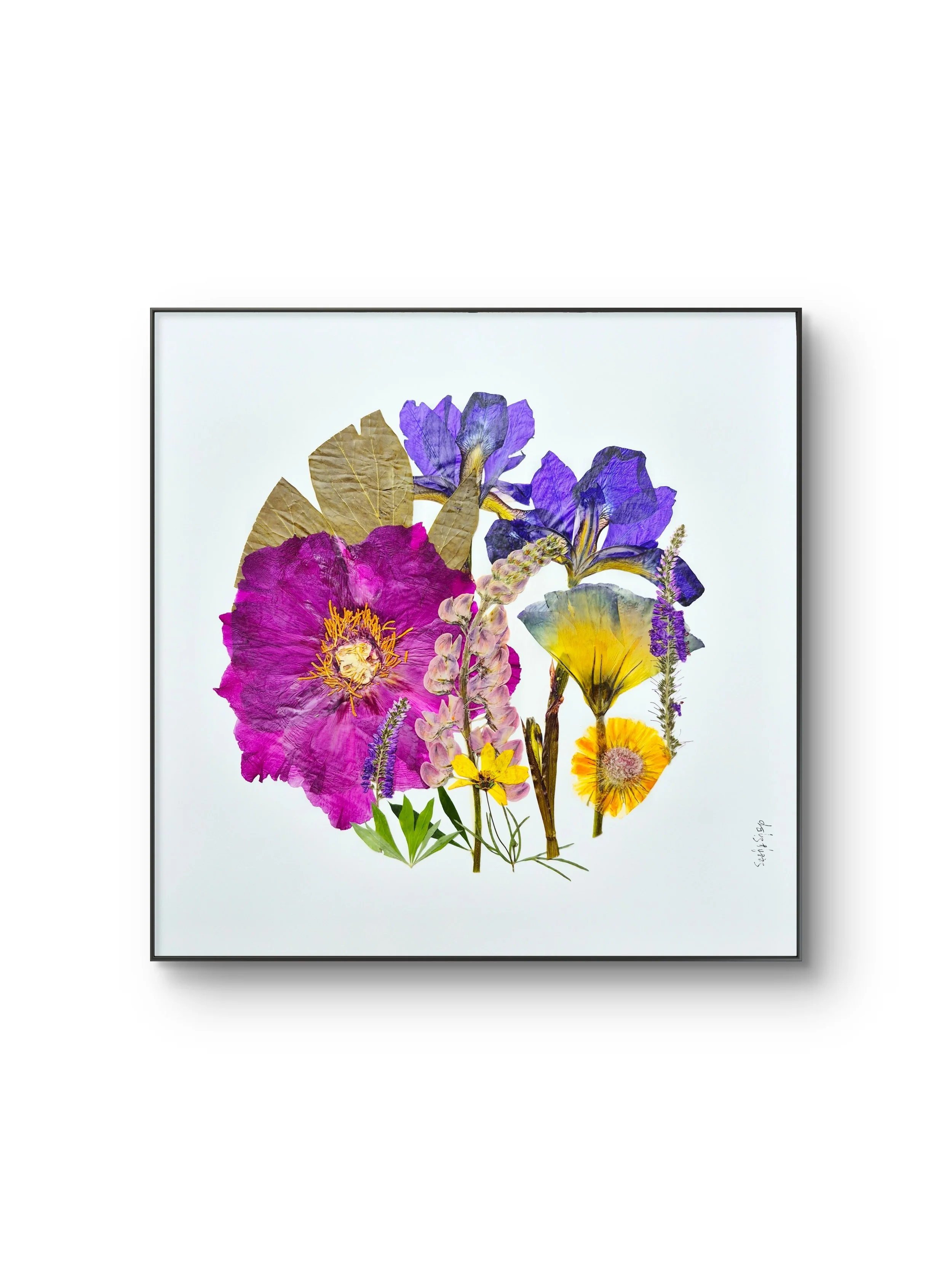 Wild Meadow - Pressed Flower workshop with Sasha Sheppard