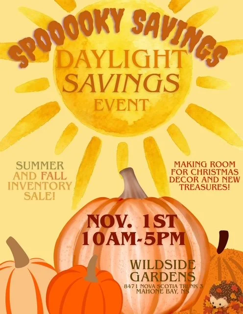 Daylight "Save-ingS" Event