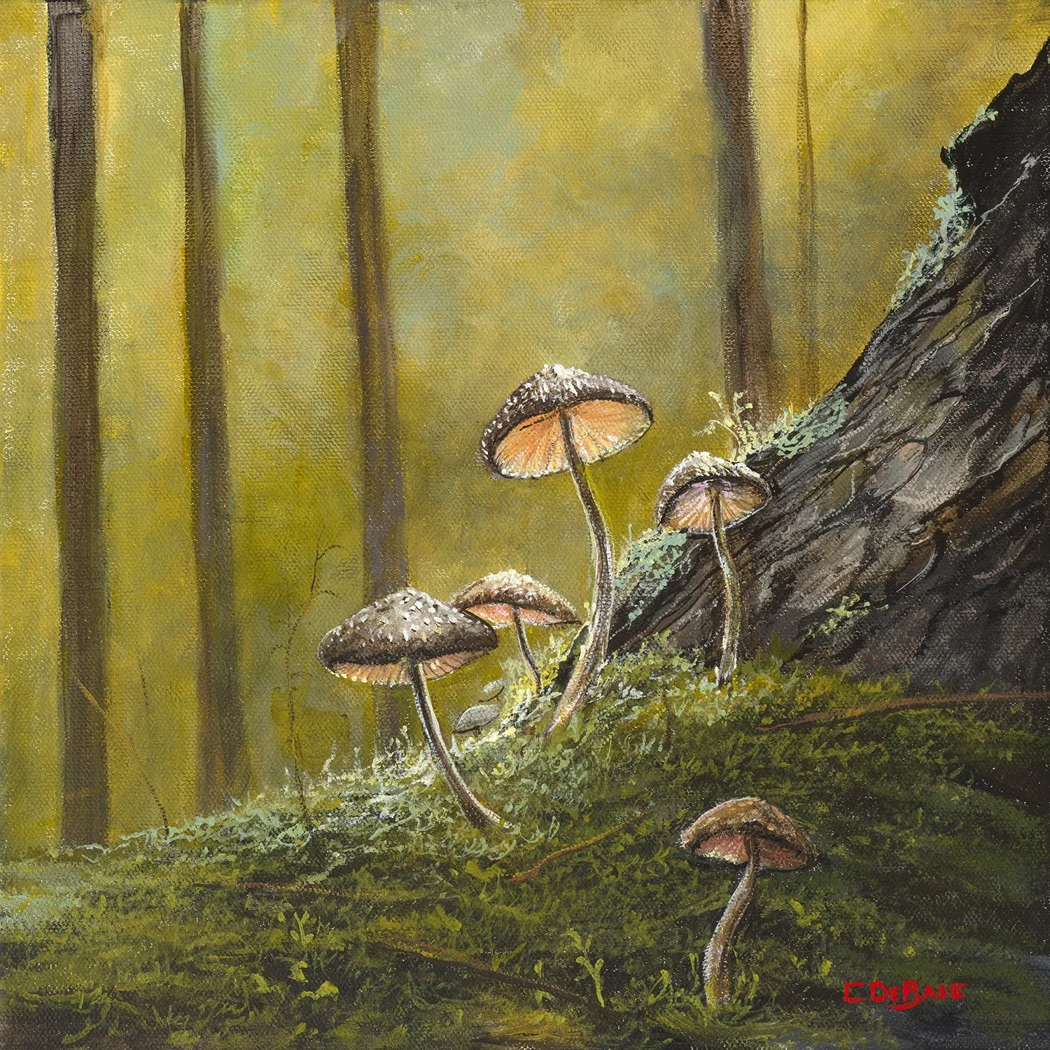 Where the Fairies Play.jpeg