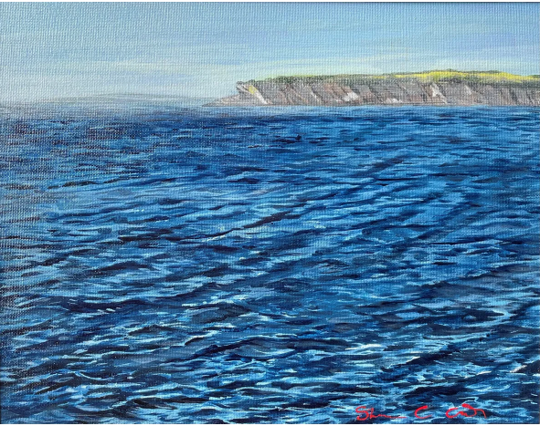 Too Far to Swim - Shannon King.PNG