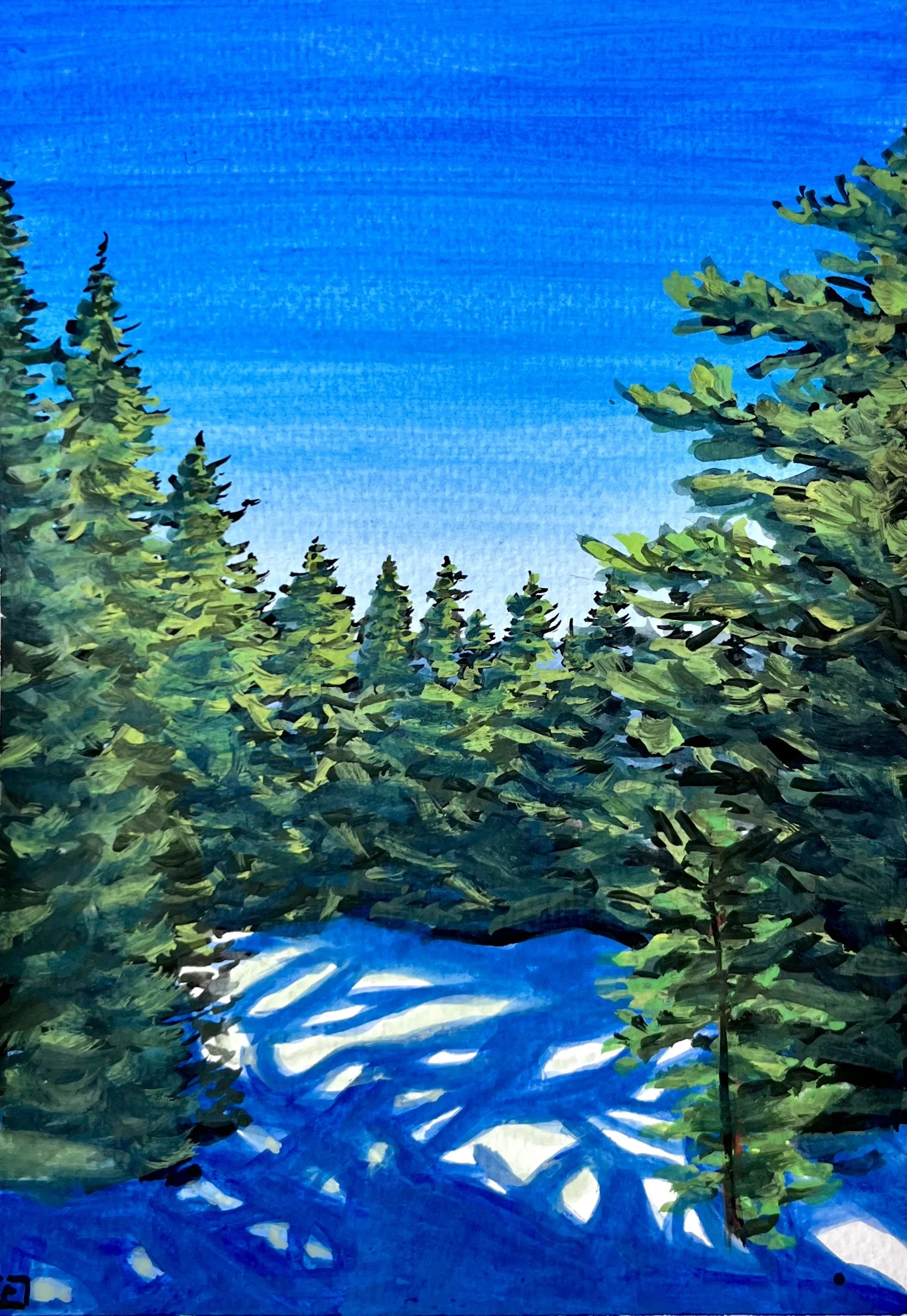 Sun Spotted Snow.jpeg