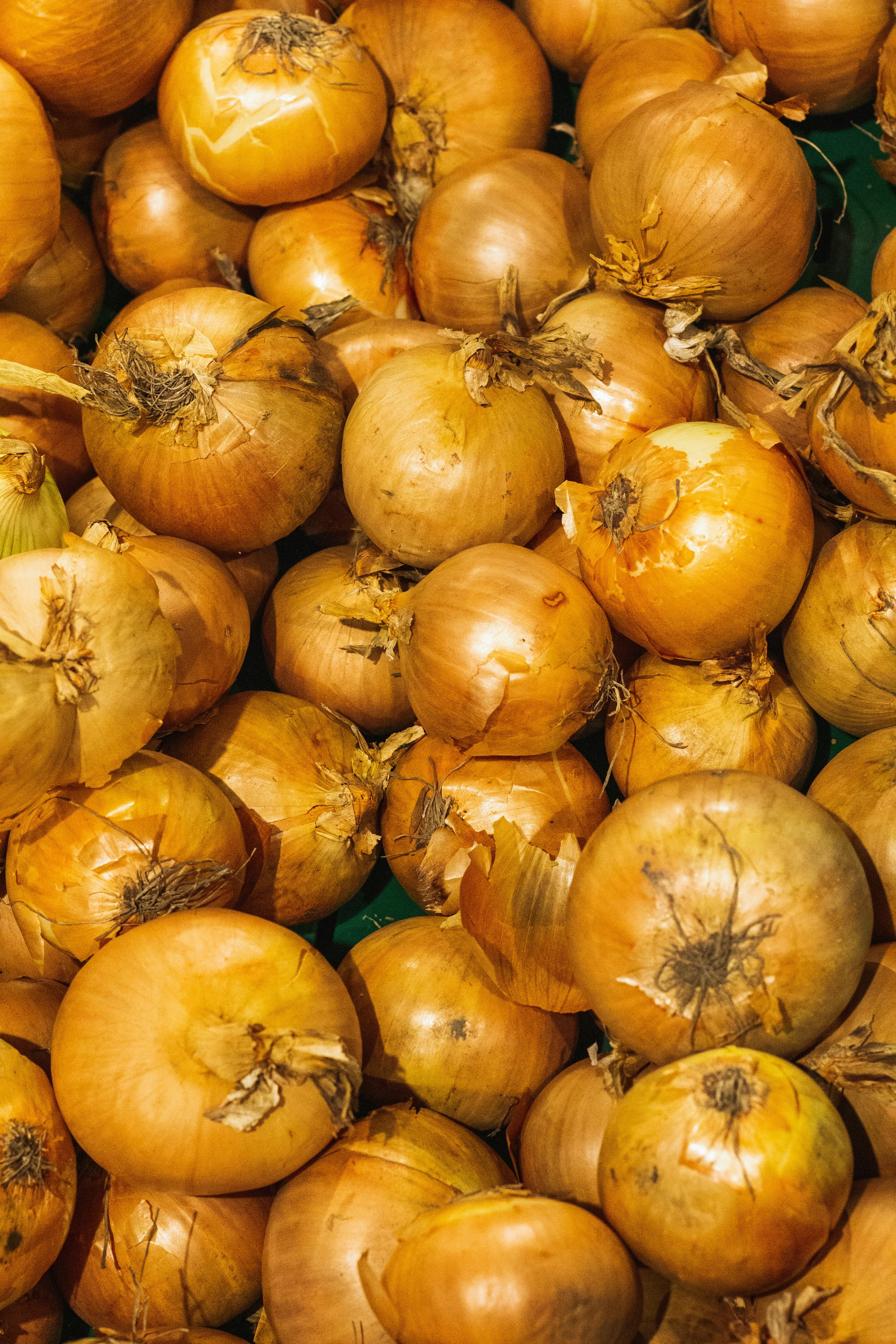 Yellow Dutch/Stuttgarter Onion Sets - Pick up only in April