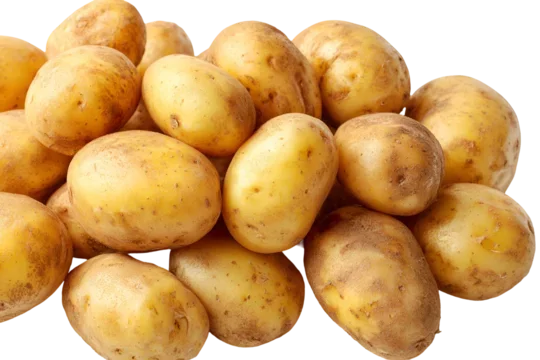 Seed Potatoes - Canada Gold - Pick up Only in April