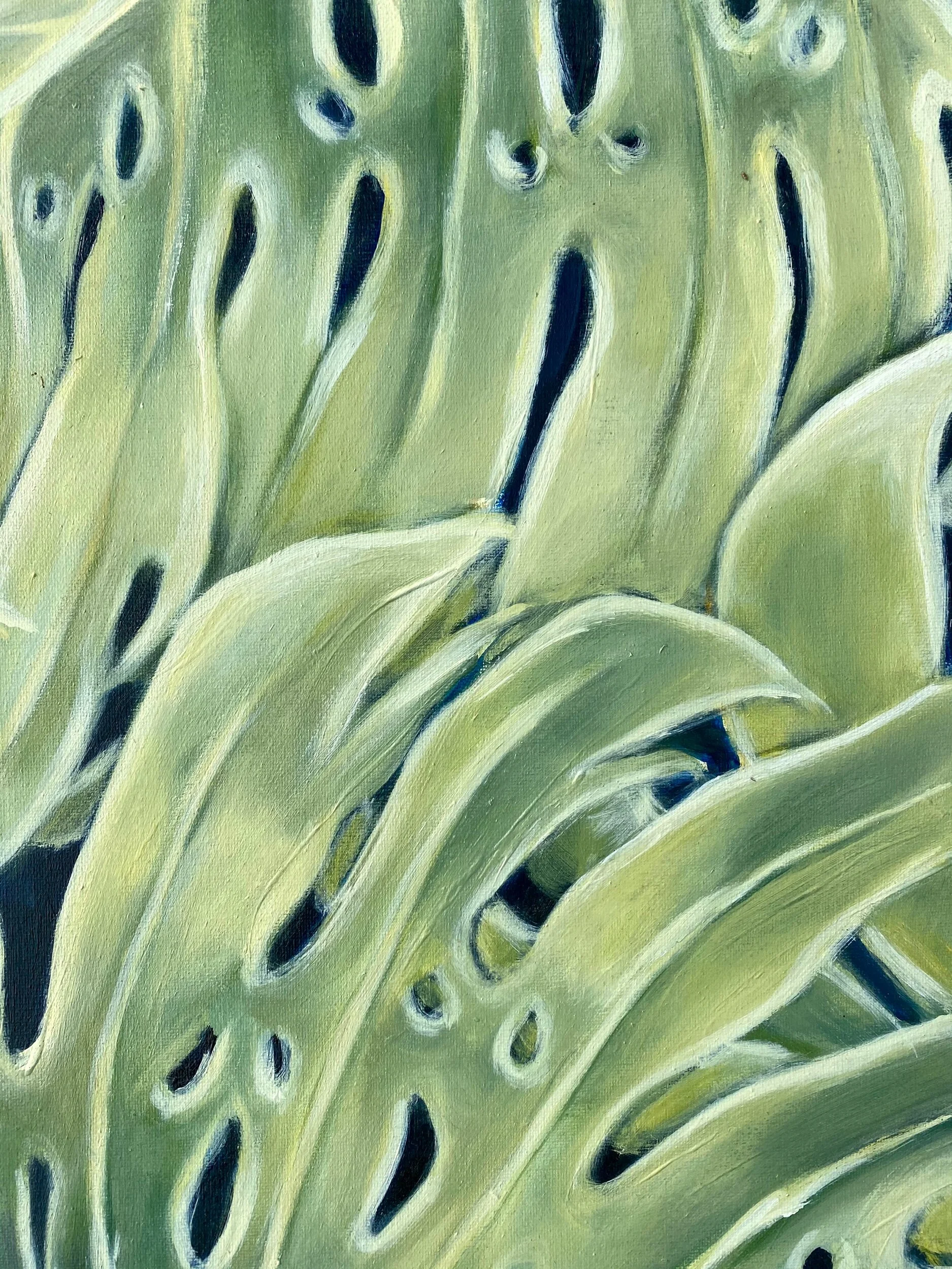 FDD77C6A-CBDF-48E6-B702-889FF74C1A08