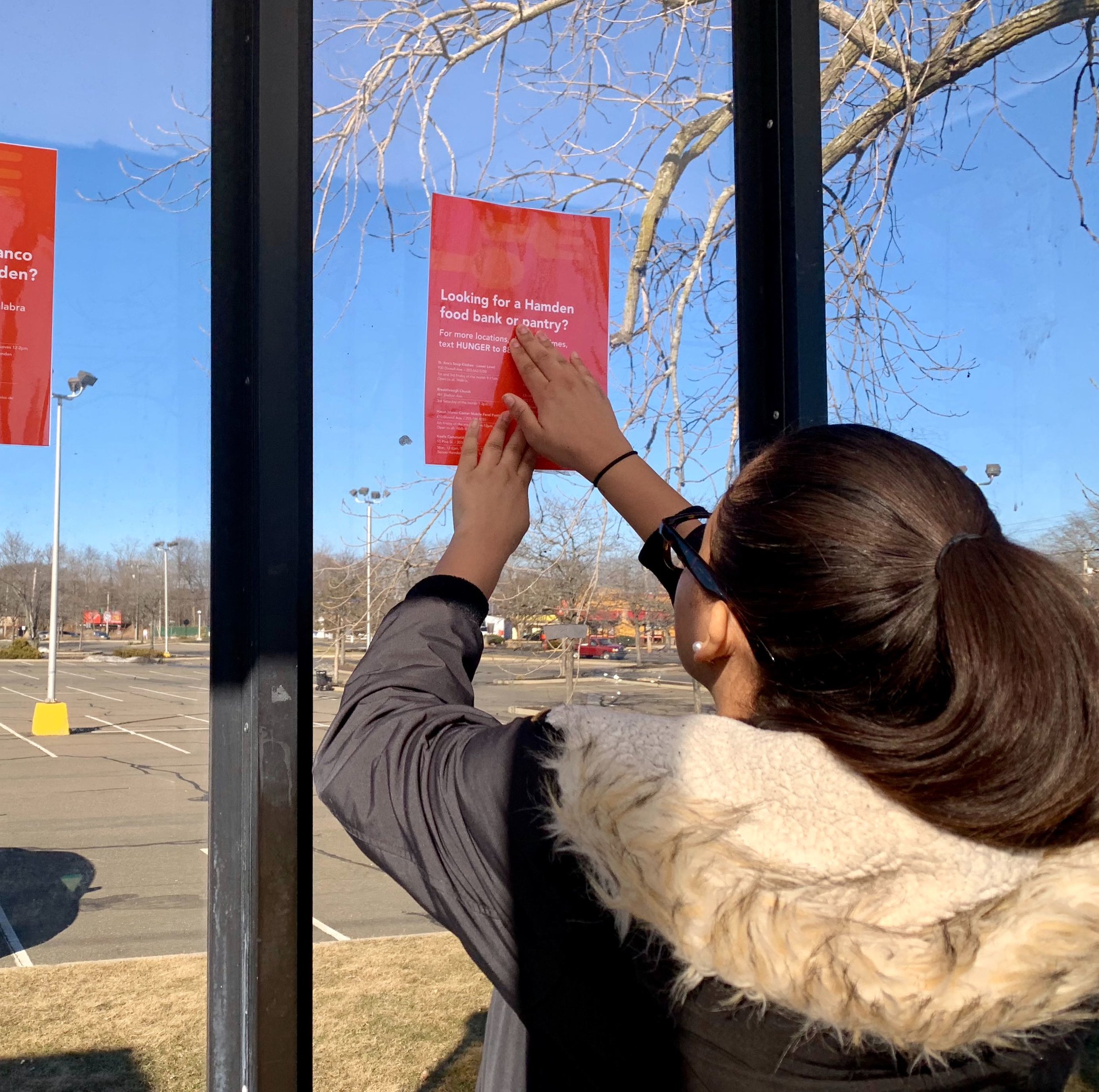 We have also posted flyers in dozens of bus stop shelters and community centers in Hamden.