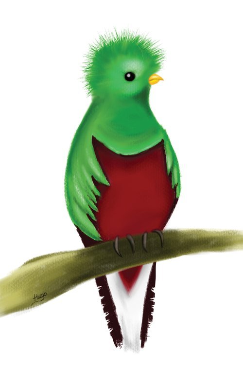 Quetzal - Pastel