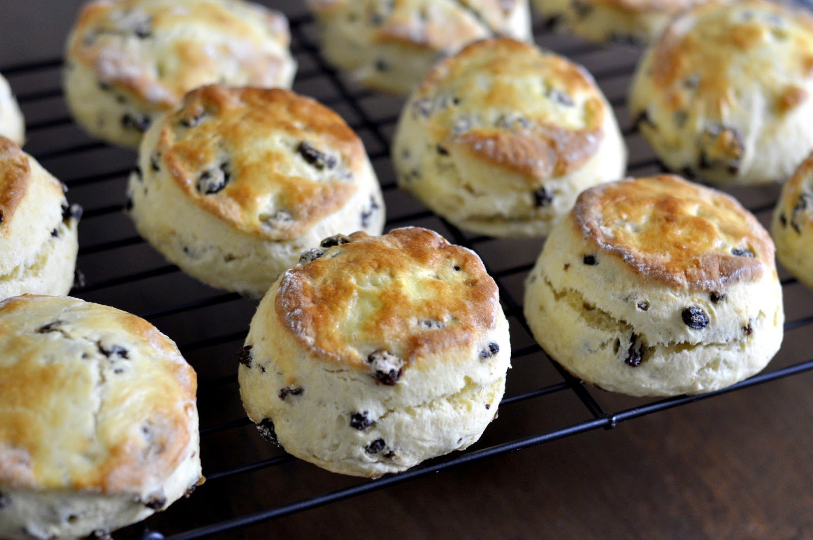 Currant-Scones.jpg