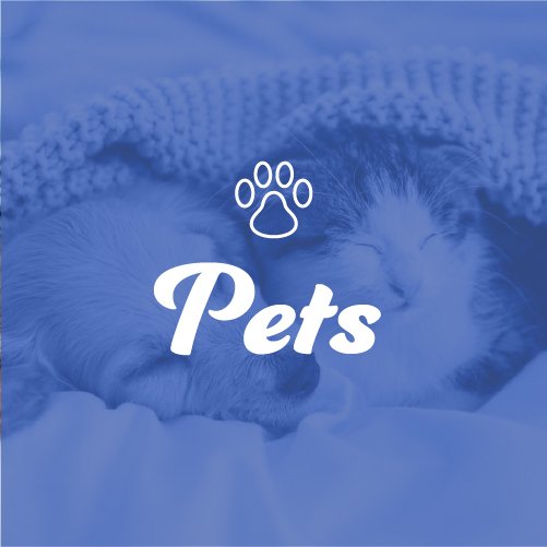 pet-themed-shirtblankets.jpg