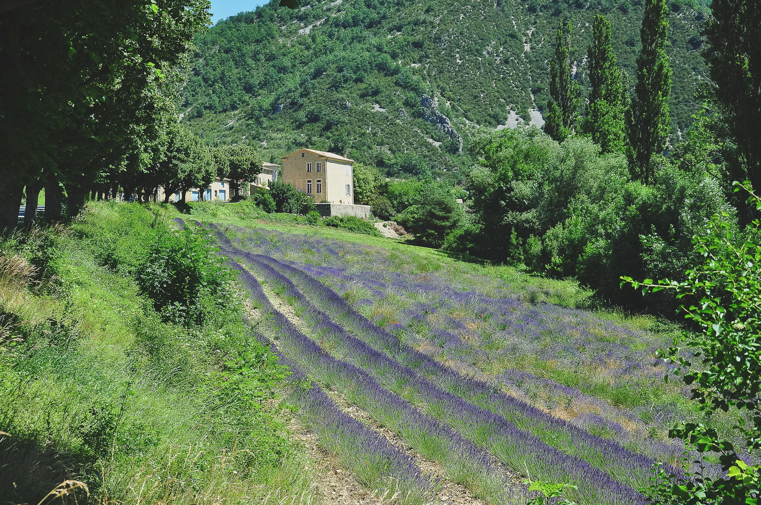 DSC_0010.jpg