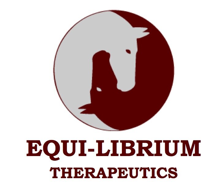 EQUI_logo.jpg