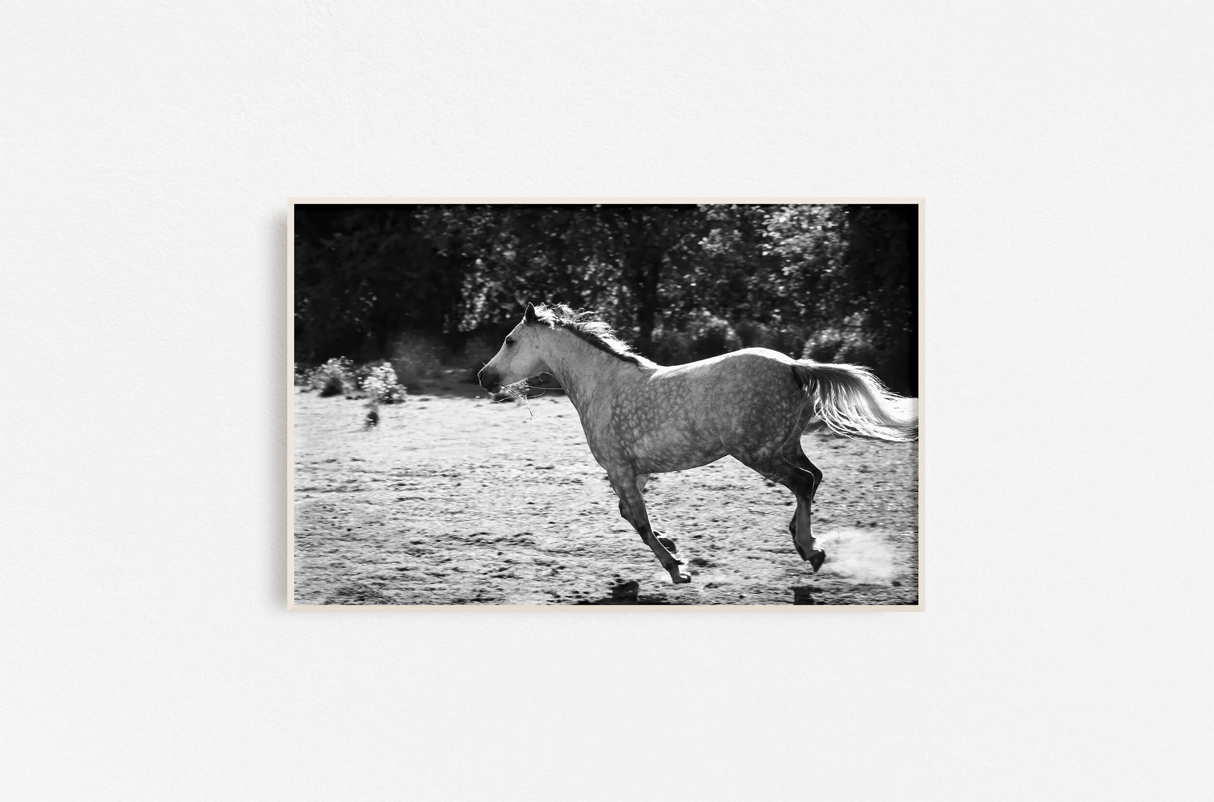 There Still Beats a Wild Heart