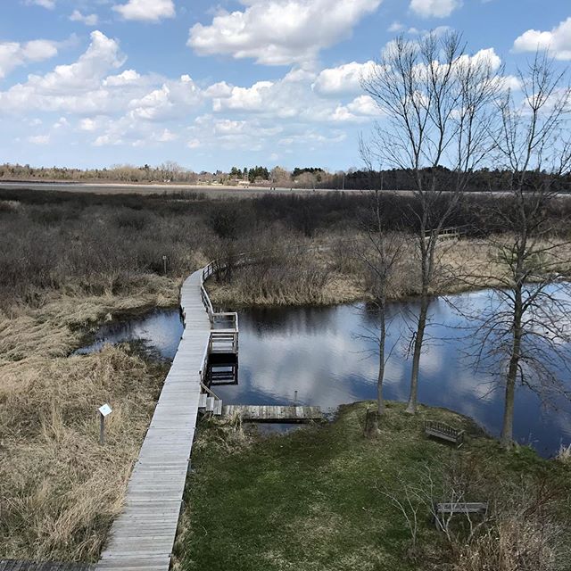 &ldquo;If you truly love nature, you will find beauty everywhere.&rdquo; - Vincent Van Gogh  #coastforawhile #tworivers #iceagetrail #manitowoc #birding #travelwi #wisconsinhiking