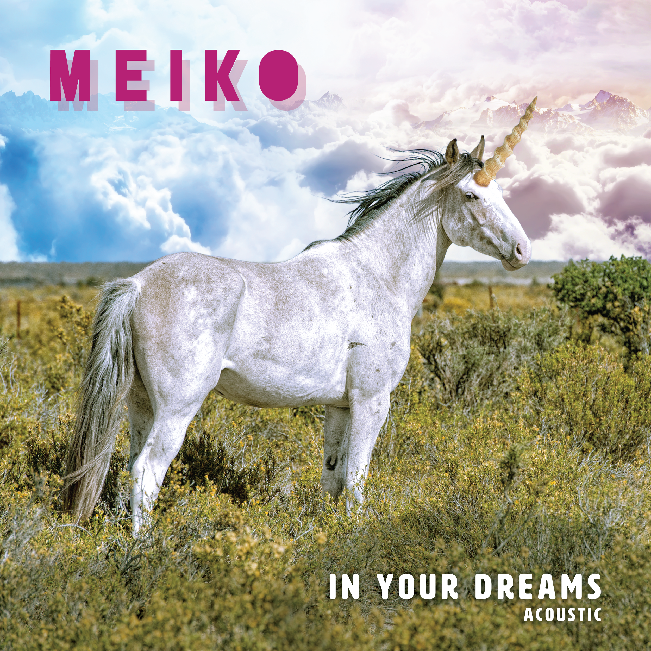 InYourDreams-Meiko_acoustic_00A.png