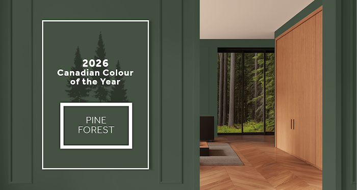 2026 TRENDS Dulux - Pine Forest HEADER - EN.png