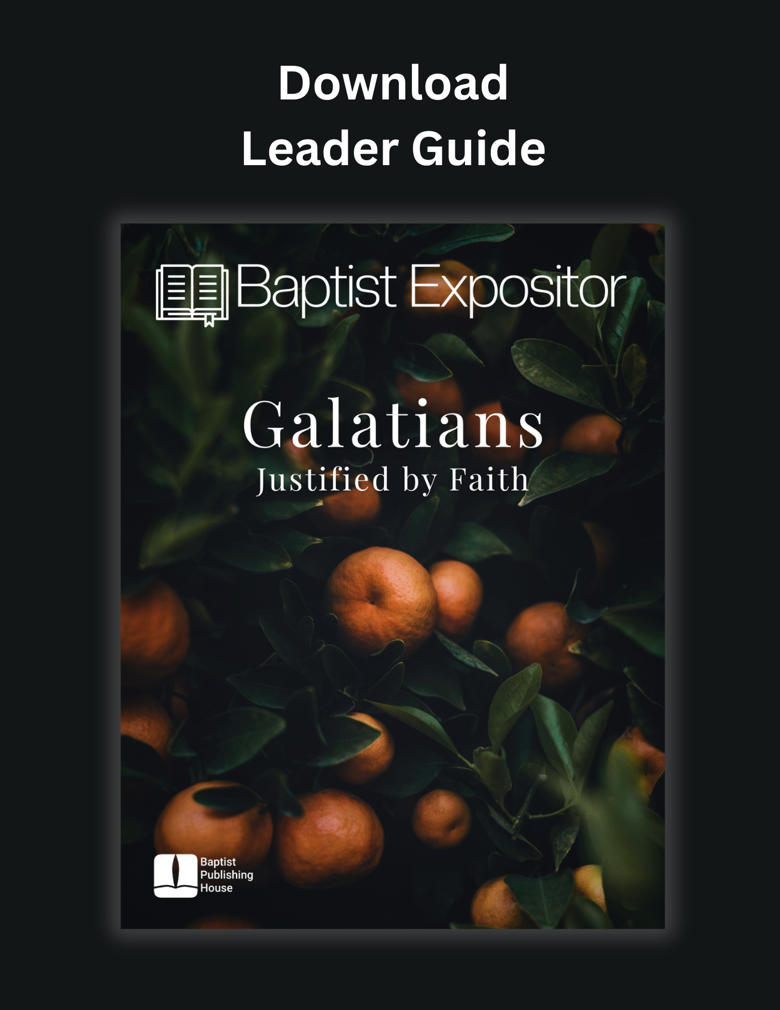 Download Leader (1).png