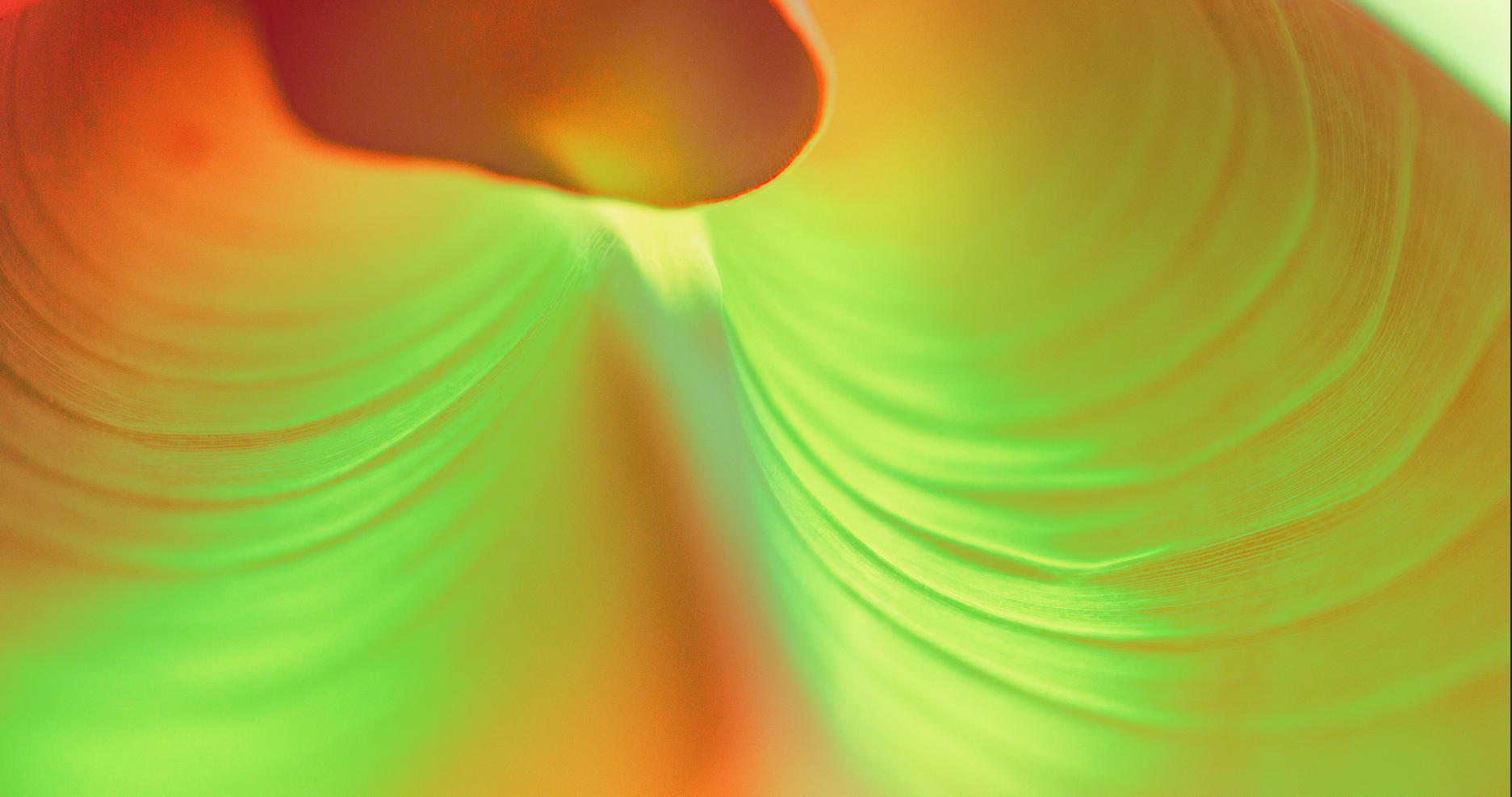 Listen page image.PNG