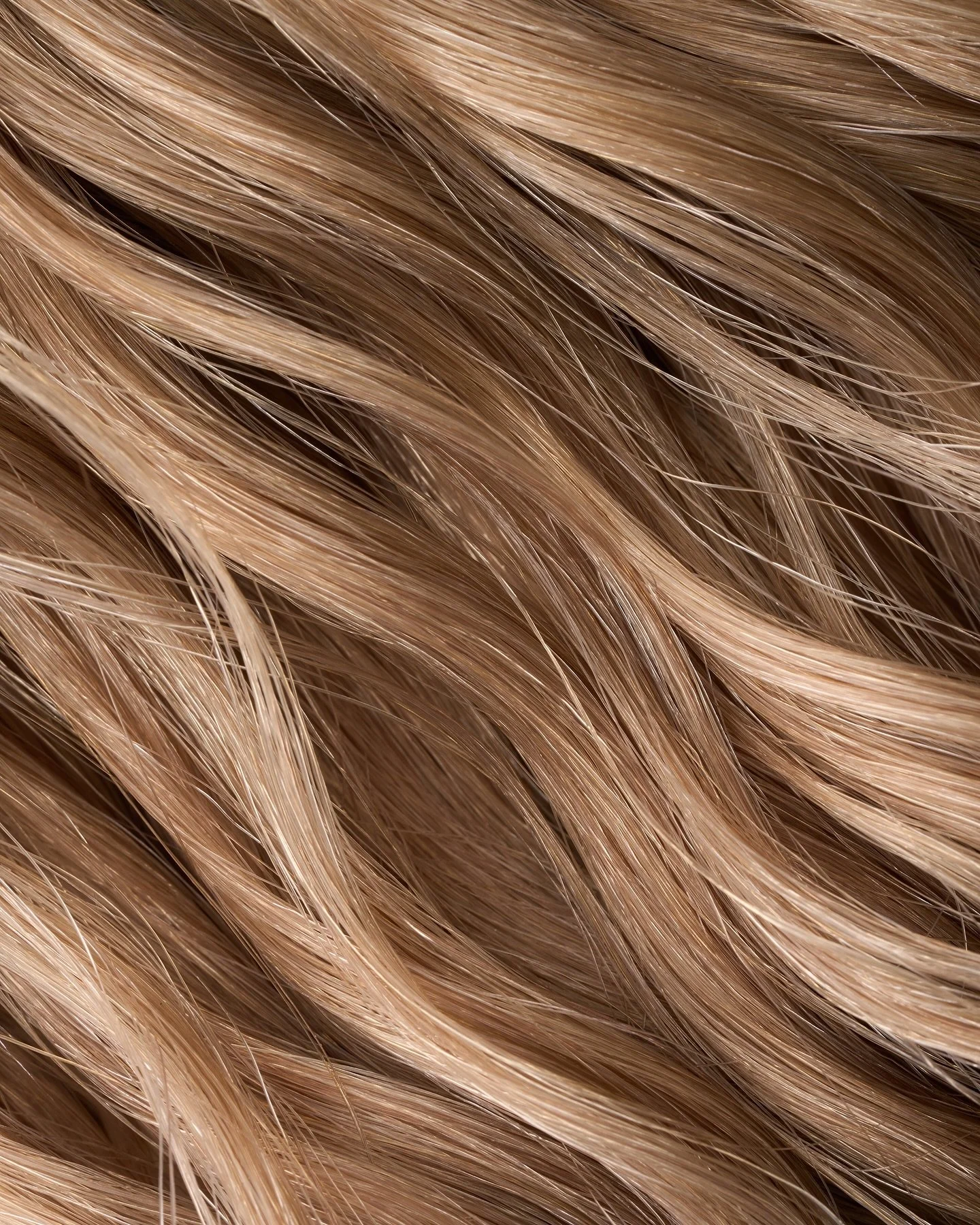 It&rsquo;s National Hair Day and how fitting that I just wrapped up the @verahairco studio project! 💁🏼&zwj;♀️

We photographed their entire catalog to do a website refresh so that everything looks cohesive and clean ✨

For my brands looking for con