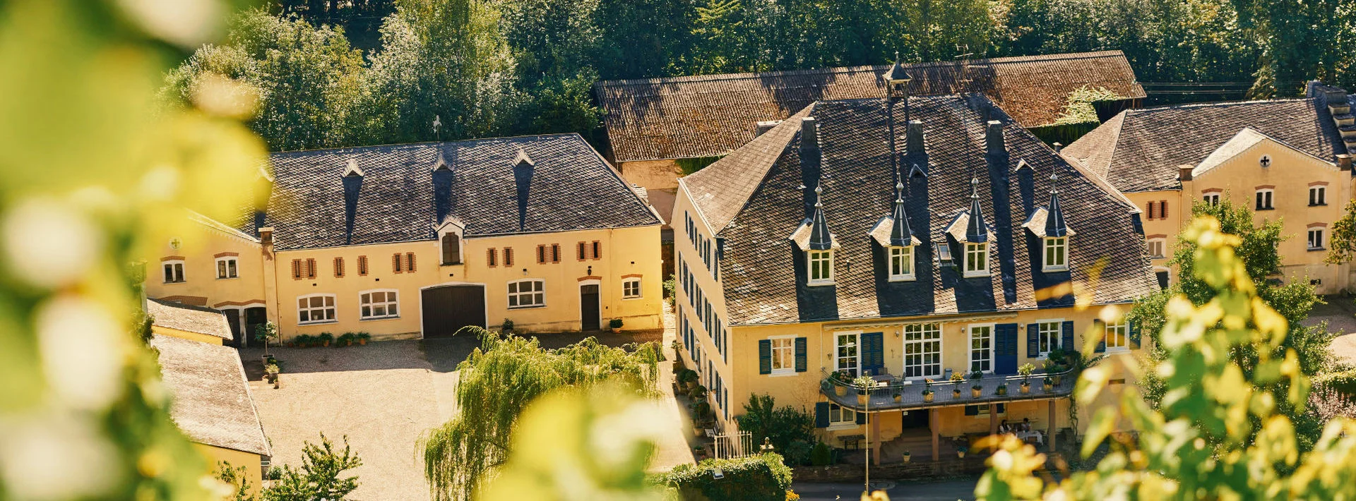 weingut-karthaeuserhof-sepia-7512d3bd.jpg