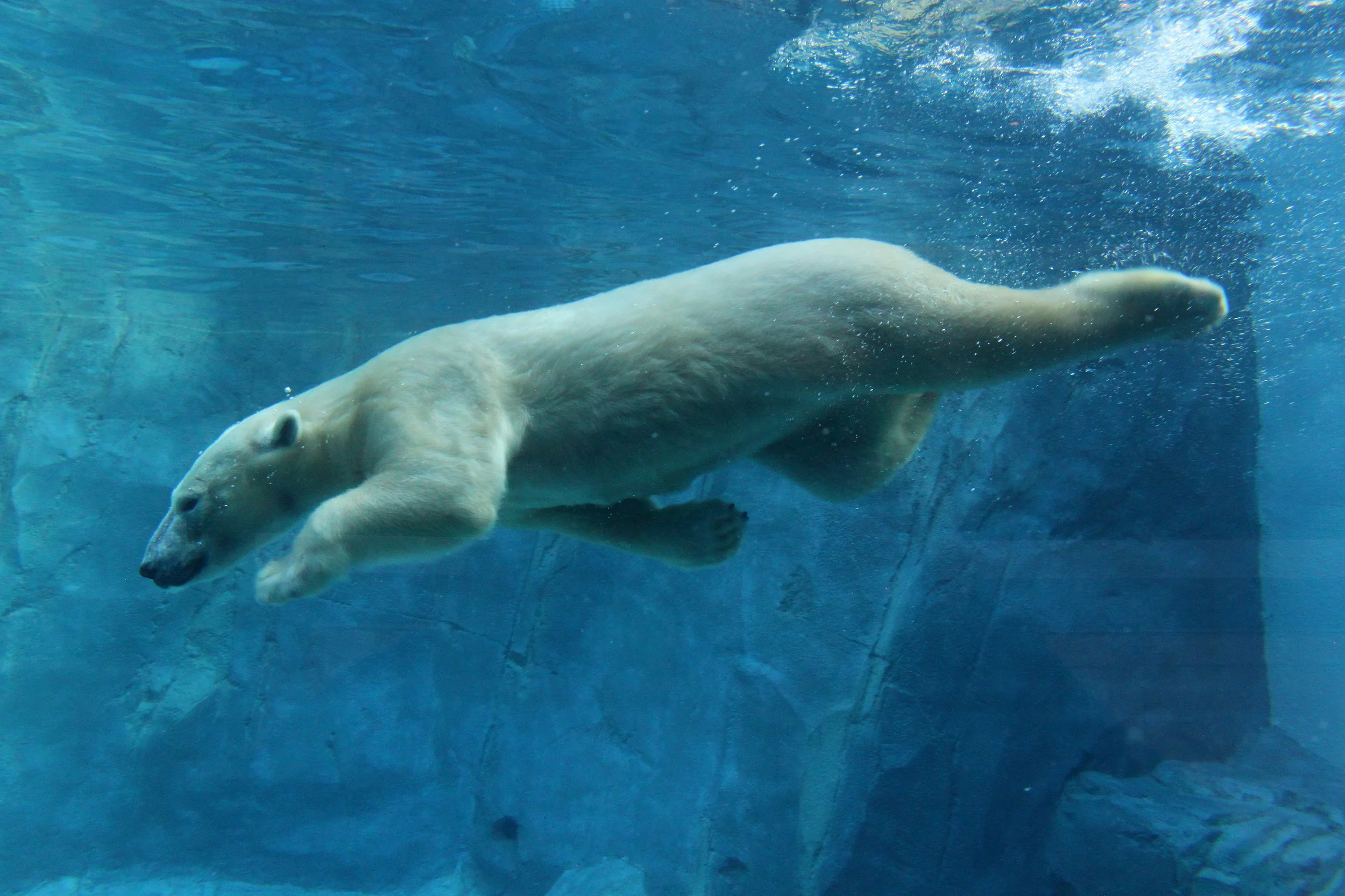 Utah's Hogle Zoo — ZACC 2024