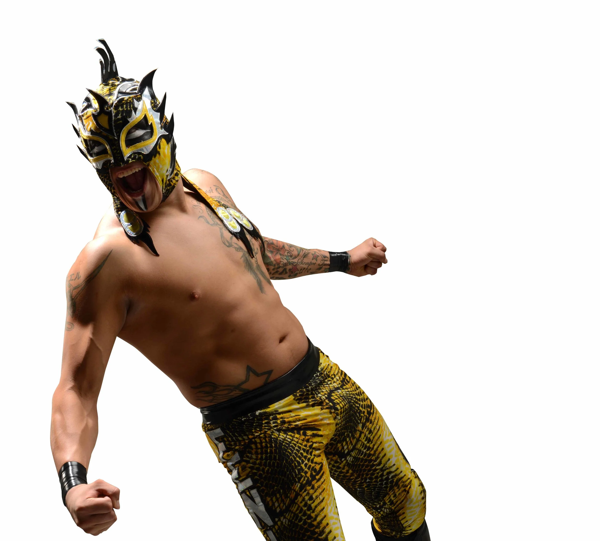 Fénix. Download file in PNG