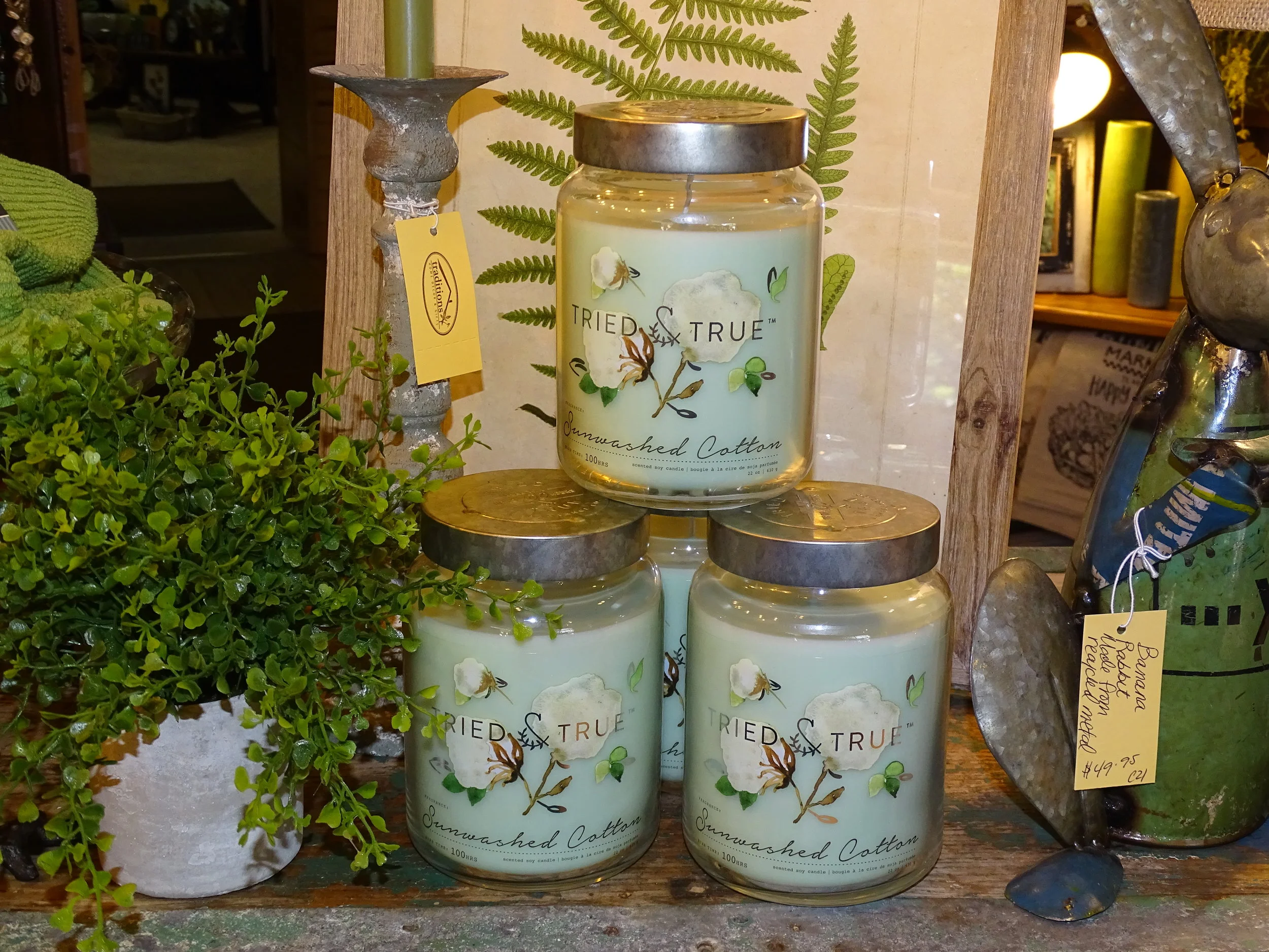 fall in love with our fragrances