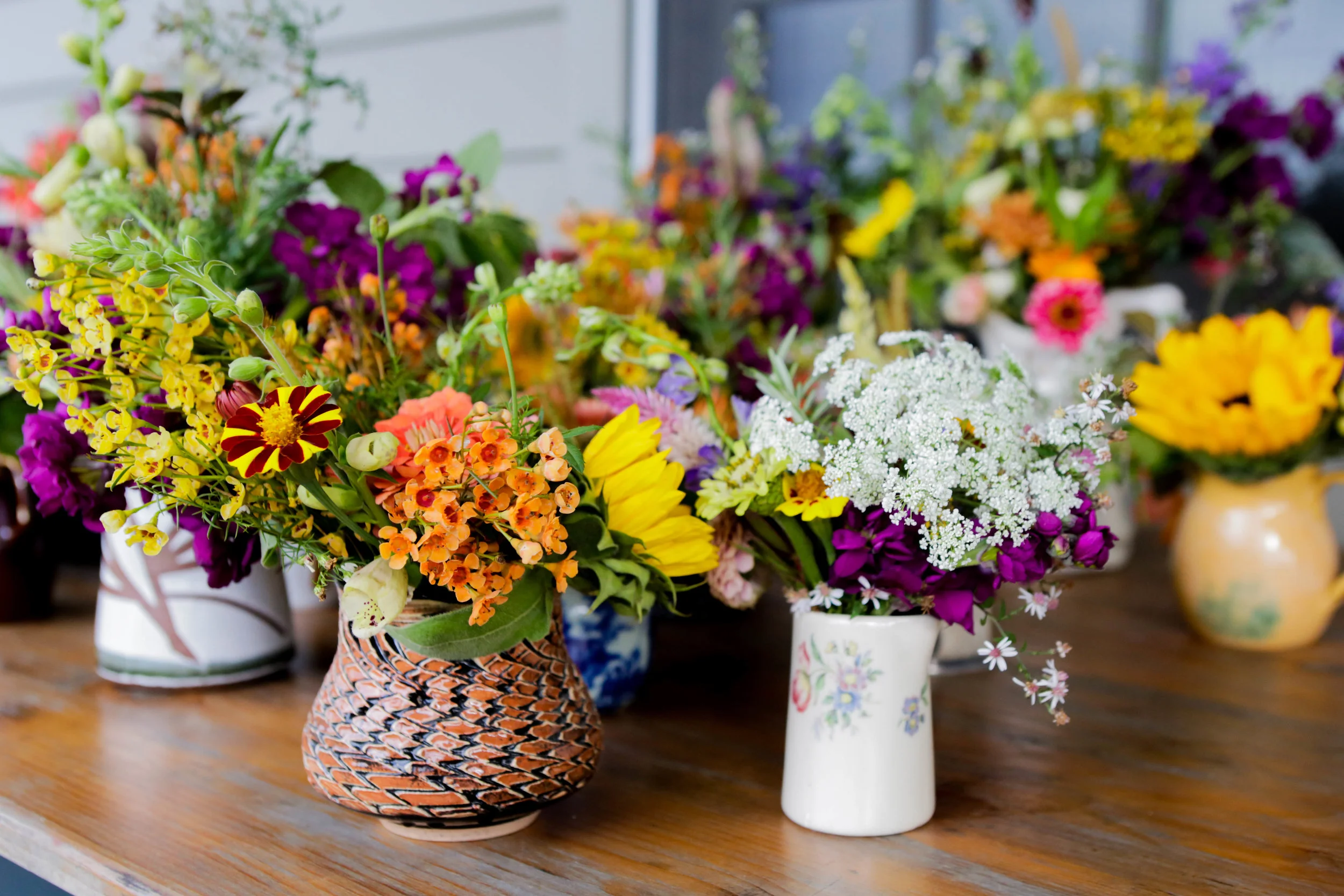 Copy of TrueX0072.jpg