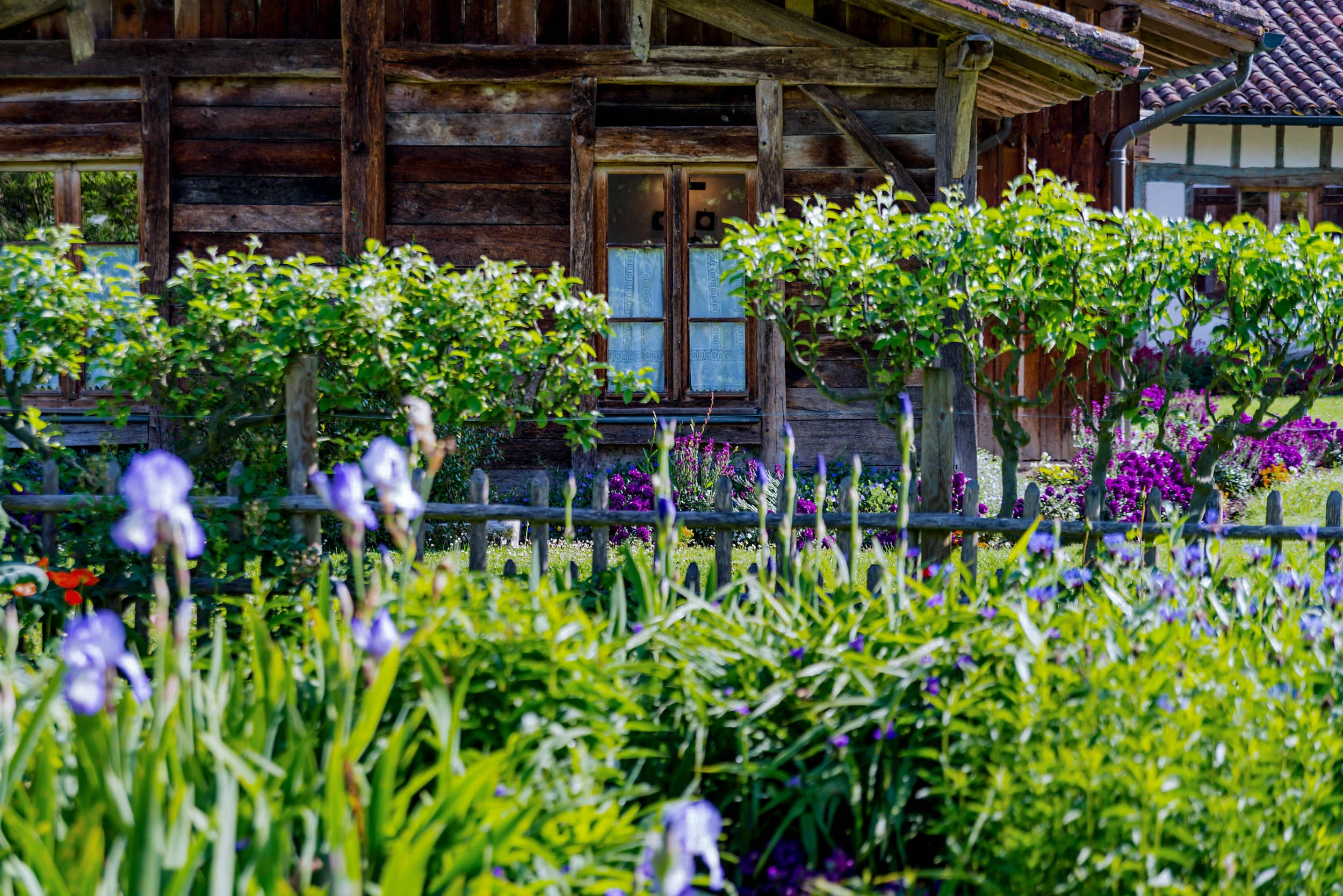 Copy of 1705-01_51_lespresdeugenie_jardin_spa_bd.jpg