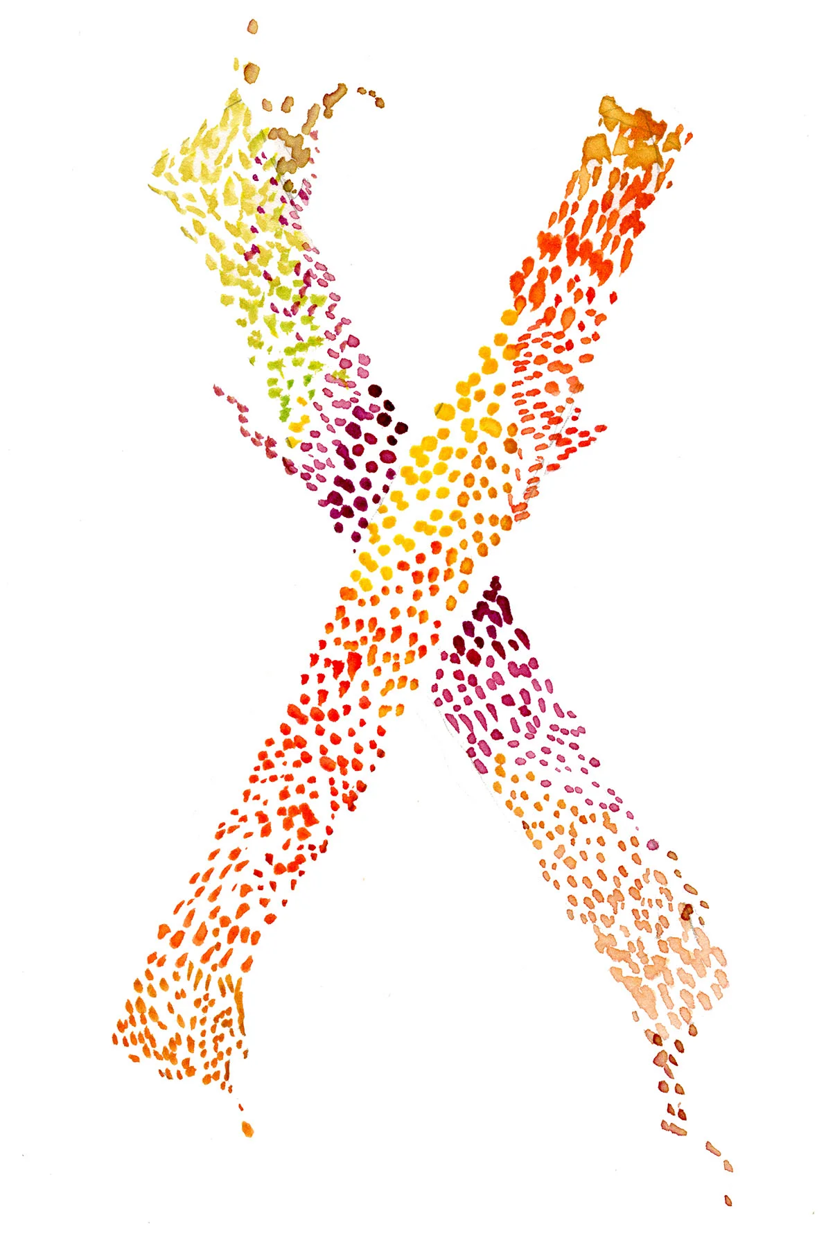 Copy of Copy of Copy of trueX003_A.jpg
