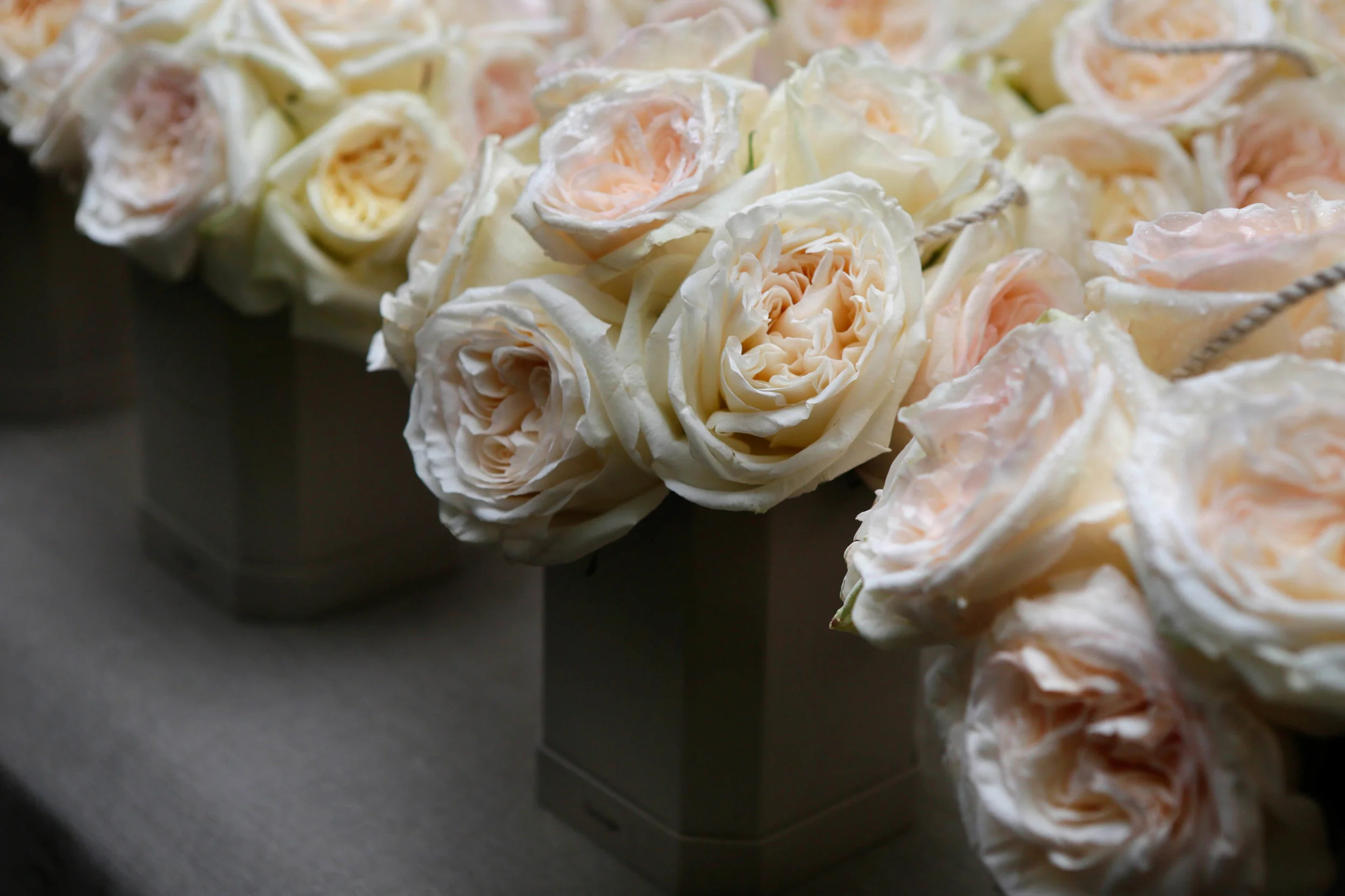 Copy of Cresp_GoogleEvent0022.jpg