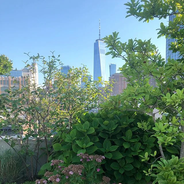 #ilovenewyork 🙏🇺🇸