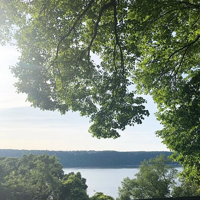 Hello #sunshine and #water and #trees and #nyc 🙏❤️