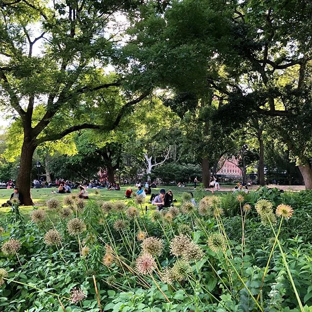 #newyorkcity always brings it all together, the trees, the people, the flowers, the power, the work, the love, the creative energy, the magics ✨💕 I am so grateful to be part of this incredible #city and #community 🙏 #ilovenewyork