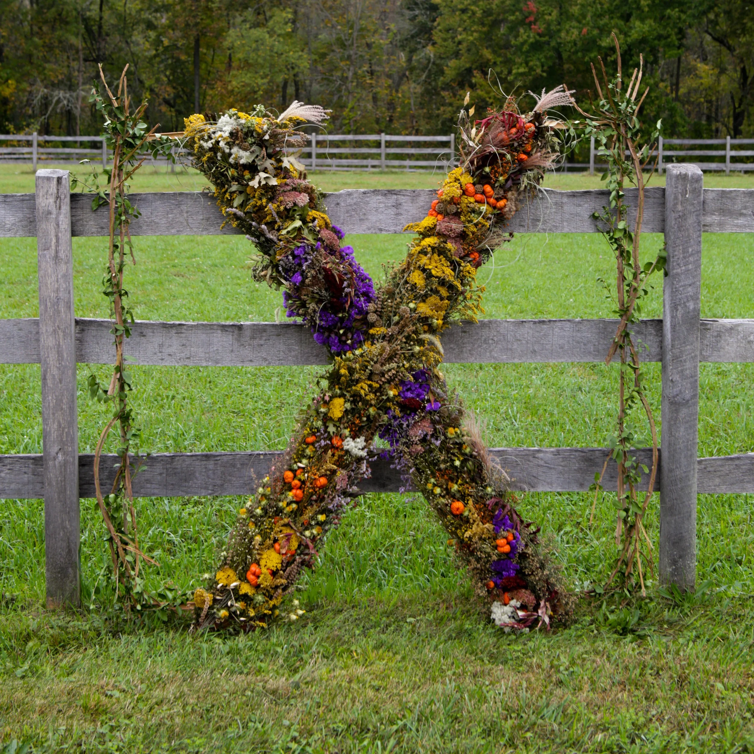 Copy of TrueX0846.jpg