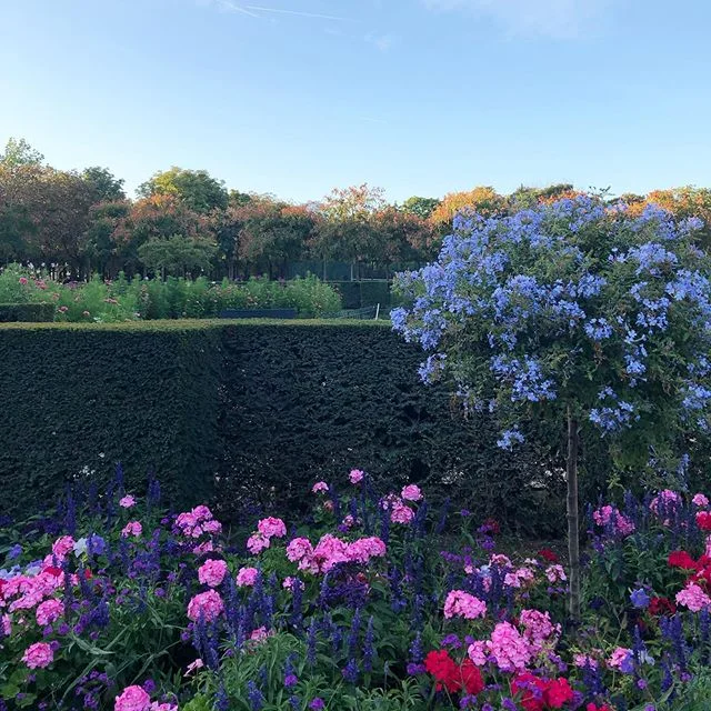 Thank you #Paris and beautiful #France for always being such an inspiration. I&rsquo;m so looking forward to bringing to life the stories of your #soil, the depth of your wisdom and your commitment to heal the #Earth. Merci 🙏 #gardenandthemoon #comi