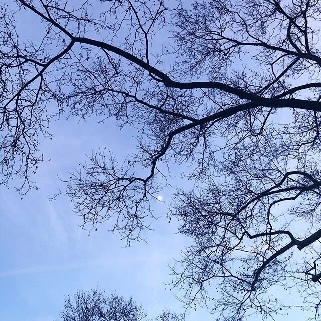 #facts
We all live under the same Sun.
Nature is our healer.
The soil is your inner power.
Herbs are medicine.
Plants are our teachers.
Food is health.
Flowers bring joy.
Yoga is wisdom.
The moon is your sun.
Art is caring.
Colors are energies.
Your 