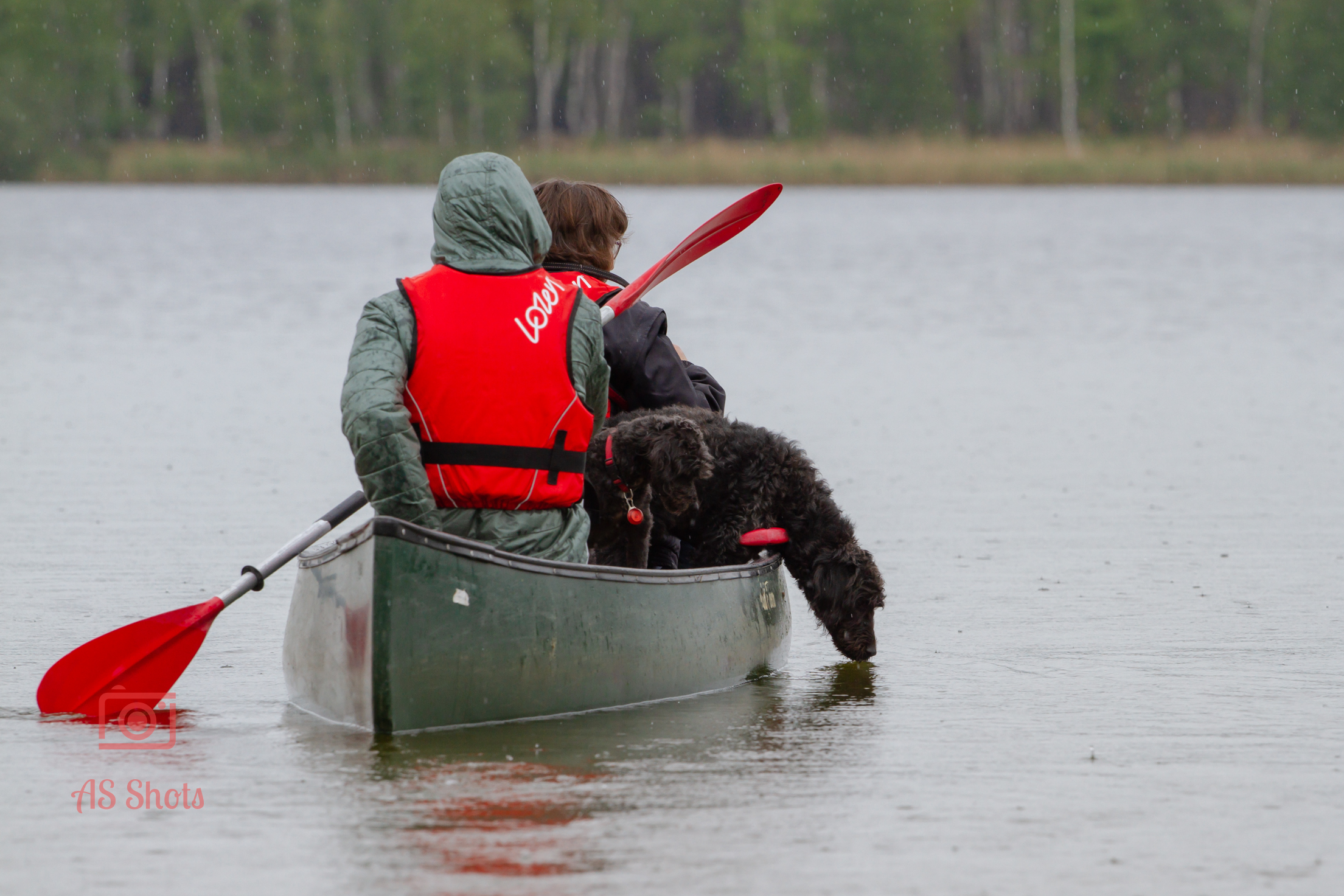20190503 DWT_AnimalEvent_ ASShots-238.jpg