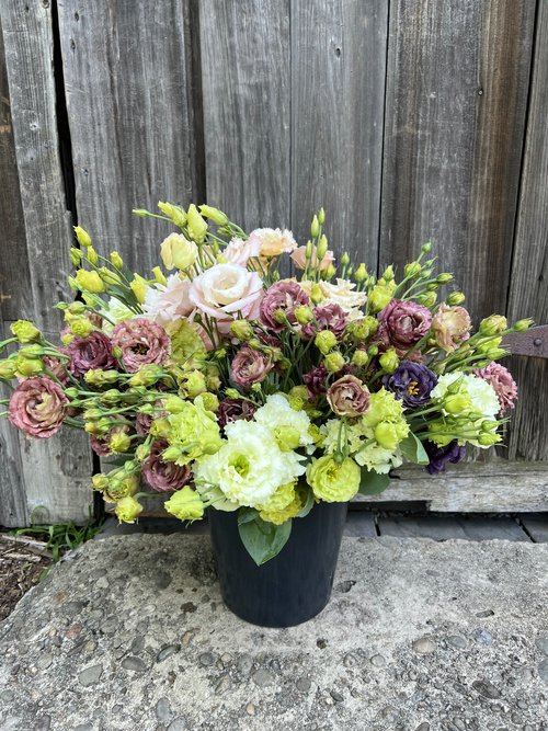 Hand Held Mini Bouquet — Eleven Mile Farm