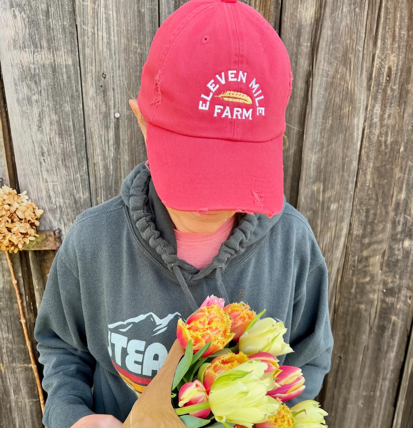 Eleven Mile Farm Merch is here! 
Distressed cotton hats in faded red, blue or green with our logo embroidered on the front and &ldquo;Pittsburgh,PA&rdquo; on the back. 
Visit our website shop to order today!