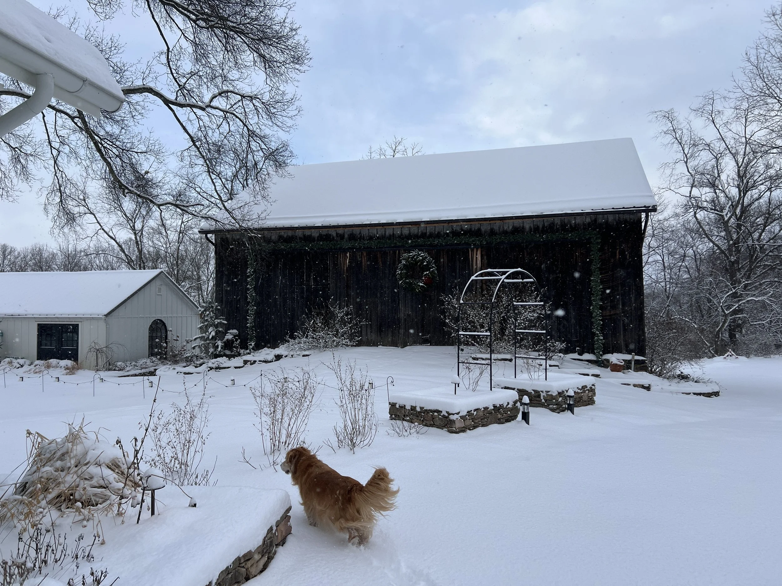 Rest and Restoration